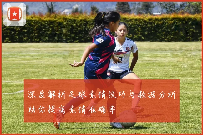 深度解析足球竞猜技巧与数据分析助你提高竞猜准确率