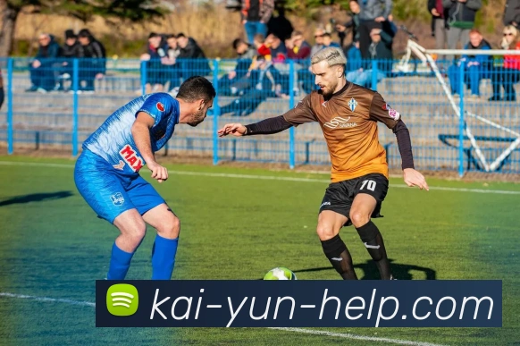 开云平台展示图